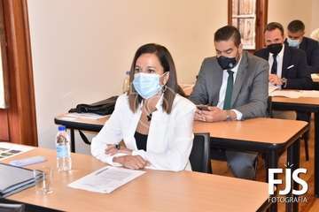 Pleno ordinario de diciembre de 2020/Francisco Javier Santana.